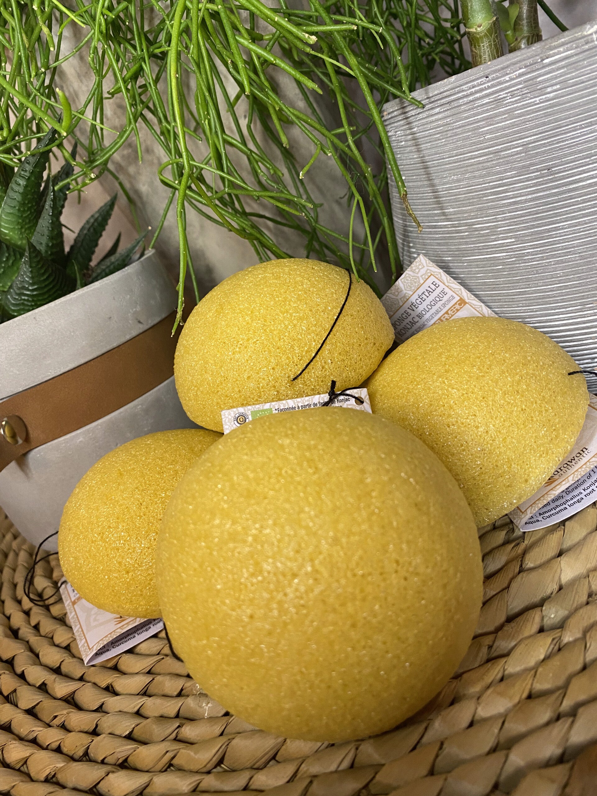 Eponge de konjac biologique enrichie au curcuma, en vrac