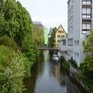 dsc_0006-standard-2kwhuj.jpg