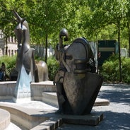 dsc_0011-standard-hfbzw8.jpg