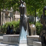 dsc_0012-standard-znwosc.jpg
