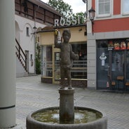 dsc_0013-standard-ci8943.jpg