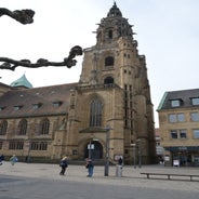 dsc_0015-standard-hvfisf.jpg