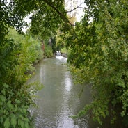 dsc_0017-standard-22d29q.jpg
