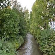 dsc_0018-standard-fgao85.jpg