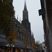 dsc_0022-standard-vmzdb2.jpg