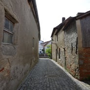 dsc_0022-standard-idgfo9.jpg