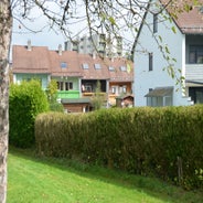 dsc_0025-standard-iov4kz.jpg