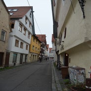 dsc_0025-standard-lmbmdk.jpg