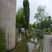 dsc_0028-standard-5btwey.jpg