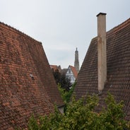 dsc_0038-standard-2prfi0.jpg