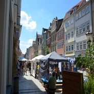 dsc_0040-standard-l51izv.jpg