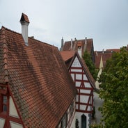 dsc_0043-standard-2svsp1.jpg