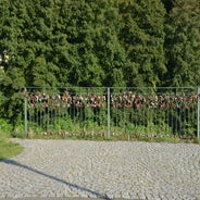 dsc_0047-standard-jxkwm8.jpg