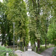dsc_0048-standard-l3tree.jpg
