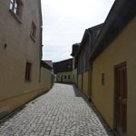 dsc_0049-standard-nipobk.jpg