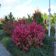 dsc_0051-standard-n4ooou.jpg