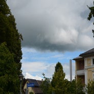 dsc_0052-standard-2esj5g.jpg