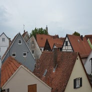 dsc_0054-standard-pritnb.jpg