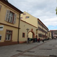 dsc_0055-standard-czlfzx.jpg