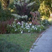 dsc_0056-standard-mhxcyw.jpg