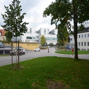 dsc_0084-standard-7k9bme.jpg