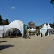 dsc_0085-standard-ckcg58.jpg