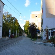 dsc_0087-standard-awezfo.jpg
