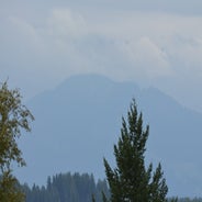 dsc_0088-standard-671zdu.jpg