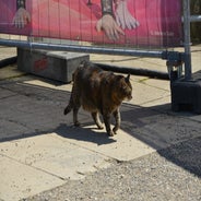dsc_0088-standard-3m63dg.jpg