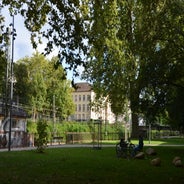 dsc_0092-standard-d0nvml.jpg