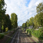 dsc_0098-standard-dspufy.jpg