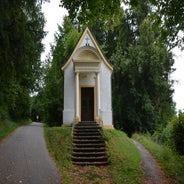 dsc_0100-standard-mmoxvt.jpg