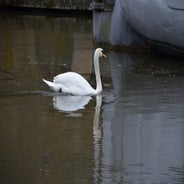 dsc_0102-standard-jui842.jpg