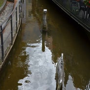dsc_0103-standard-qlbak4.jpg