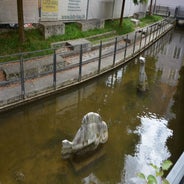 dsc_0104-standard-63n94y.jpg