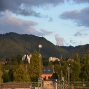 dsc_0110-standard-7oqszw.jpg