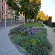dsc_0111-standard-oa77ng.jpg