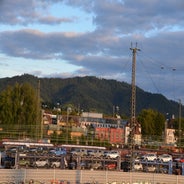 dsc_0111-standard-2ay713.jpg