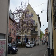 dsc_0124-standard-myng9n.jpg