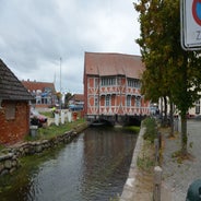 dsc_0138-standard-rqt8lq.jpg