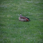 dsc_0150-standard-ii7t9x.jpg