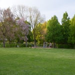 dsc_0154-standard-zb8ewy.jpg