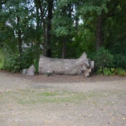 dsc_0160-standard-t6p3s0.jpg