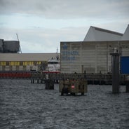 dsc_0162-standard-fe1yh5.jpg