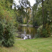 dsc_0172-standard-0gevpg.jpg