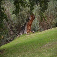 dsc_0173-standard-zwk5gw.jpg