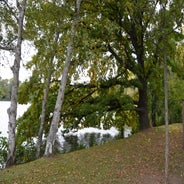 dsc_0175-standard-llxfk5.jpg