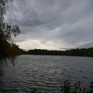 dsc_0183-standard-jud0l9.jpg