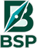 Burns Strategy &amp; Planning Consulting