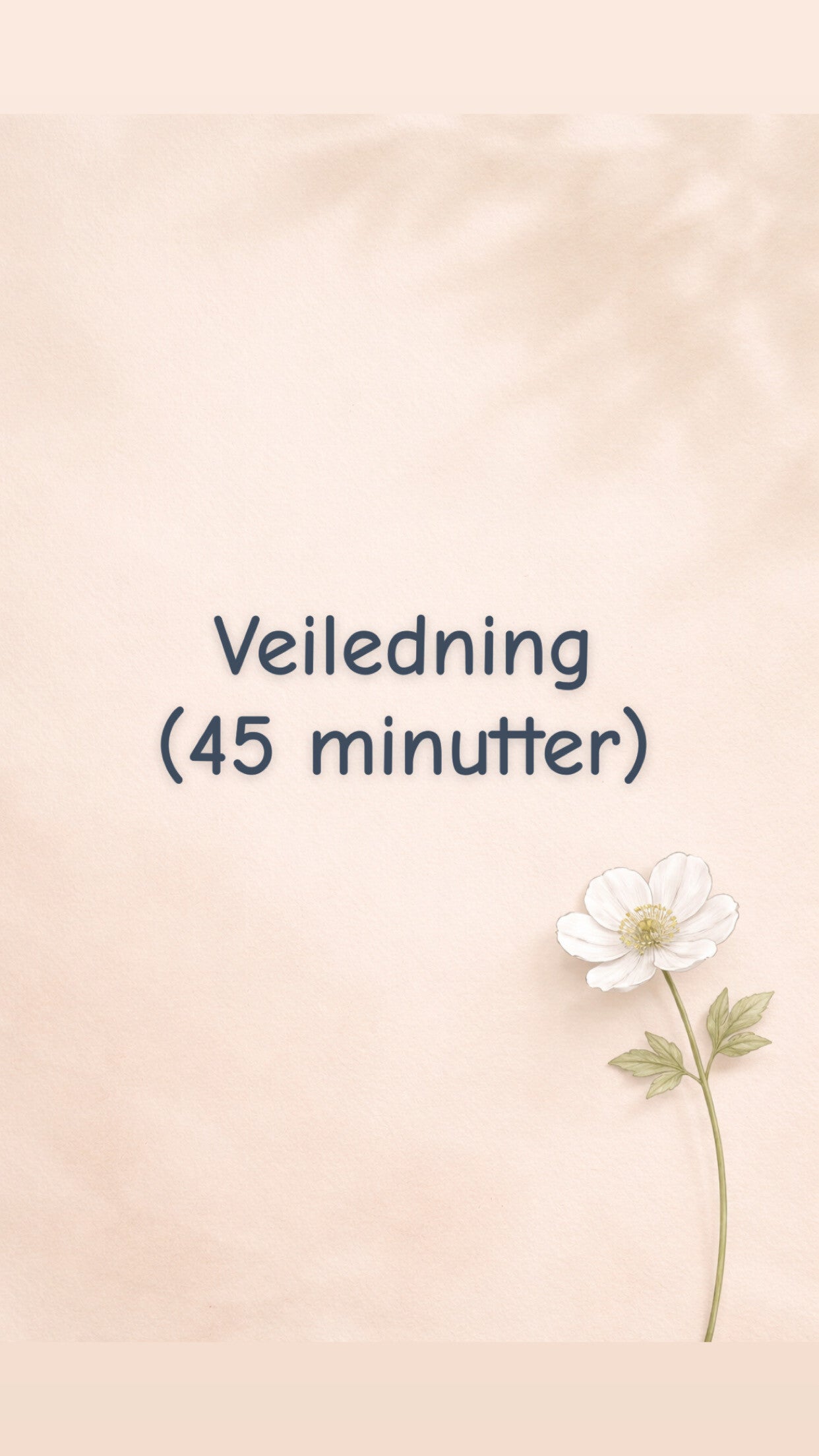 Veiledning (45 minutter)